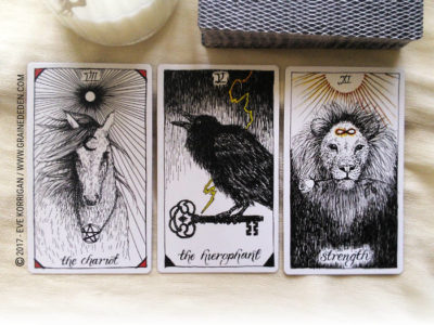 The Wild Unknown Tarot deck de Kim Krans - Graine d'Eden Développement personnel, spiritualité, tarots et oracles divinatoires, Bibliothèques des Oracles, avis, présentation, review , revue