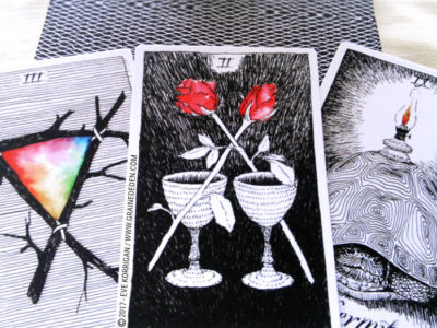 The Wild Unknown Tarot deck de Kim Krans - Graine d'Eden Développement personnel, spiritualité, tarots et oracles divinatoires, Bibliothèques des Oracles, avis, présentation, review , revue