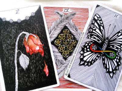 The Wild Unknown Tarot deck de Kim Krans - Graine d'Eden Développement personnel, spiritualité, tarots et oracles divinatoires, Bibliothèques des Oracles, avis, présentation, review , revue