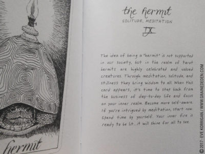 The Wild Unknown Tarot deck de Kim Krans - Graine d'Eden Développement personnel, spiritualité, tarots et oracles divinatoires, Bibliothèques des Oracles, avis, présentation, review , revue