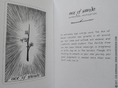 The Wild Unknown Tarot deck de Kim Krans - Graine d'Eden Développement personnel, spiritualité, tarots et oracles divinatoires, Bibliothèques des Oracles, avis, présentation, review , revue