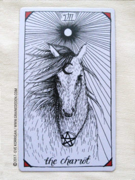 The Wild Unknown Tarot deck de Kim Krans - Graine d'Eden Développement personnel, spiritualité, tarots et oracles divinatoires, Bibliothèques des Oracles, avis, présentation, review , revue