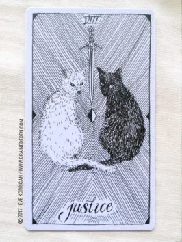 The Wild Unknown Tarot deck de Kim Krans - Graine d'Eden Développement personnel, spiritualité, tarots et oracles divinatoires, Bibliothèques des Oracles, avis, présentation, review , revue
