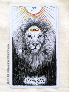The Wild Unknown Tarot deck de Kim Krans - Graine d'Eden Développement personnel, spiritualité, tarots et oracles divinatoires, Bibliothèques des Oracles, avis, présentation, review , revue