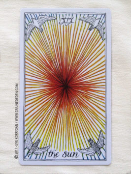 The Wild Unknown Tarot deck de Kim Krans - Graine d'Eden Développement personnel, spiritualité, tarots et oracles divinatoires, Bibliothèques des Oracles, avis, présentation, review , revue