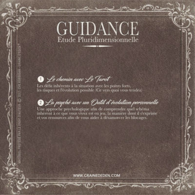 Guidance Pluridimensionnelle