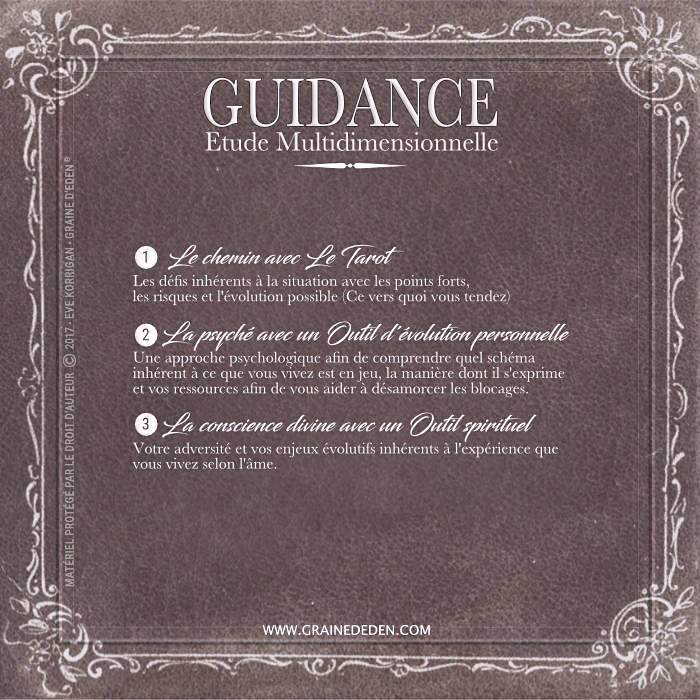 Guidance Multidimensionnelle Complète