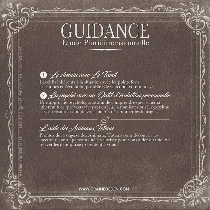 Guidance Pluridimensionnelle et Animaux Totems