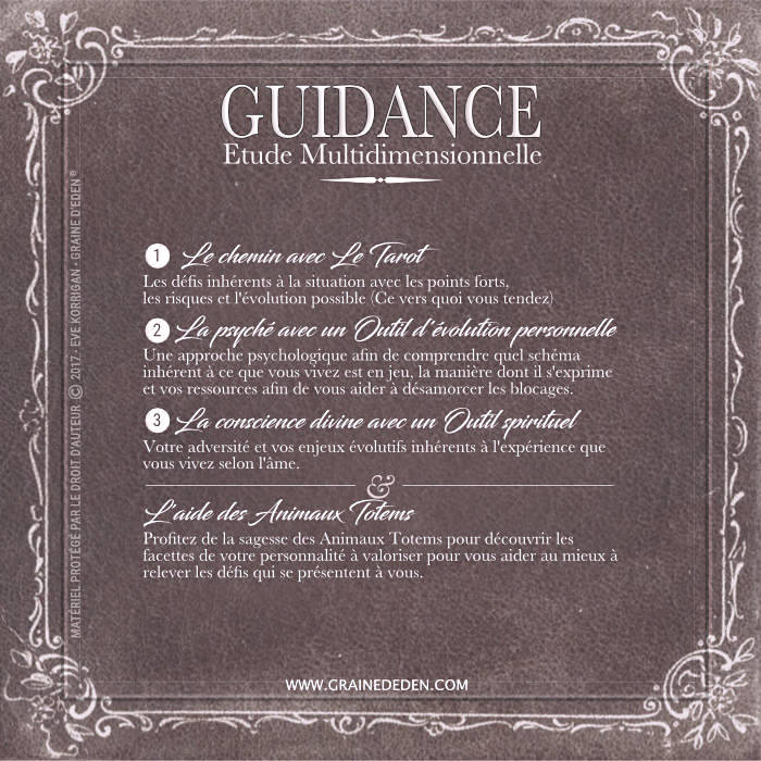 Guidance Multidimensionnelle Complète et Animaux Totems