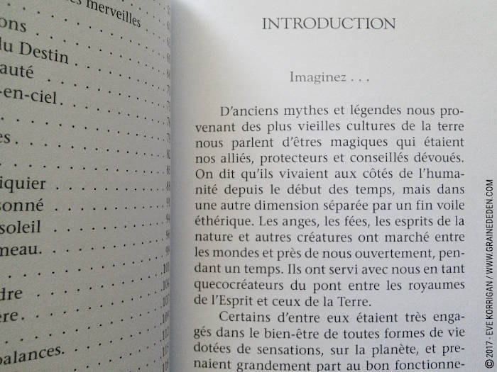 Cartes Oracle Sagesse des Royaumes Cachés de Colette Baron-Reid et Jena DellaGrottaglia - Graine d'Eden Développement personnel, spiritualité, tarots et oracles divinatoires, Bibliothèques des Oracles, avis, présentation, review , revue