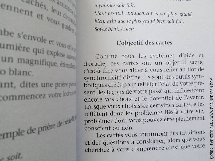 Cartes Oracle Sagesse des Royaumes Cachés de Colette Baron-Reid et Jena DellaGrottaglia - Graine d'Eden Développement personnel, spiritualité, tarots et oracles divinatoires, Bibliothèques des Oracles, avis, présentation, review , revue