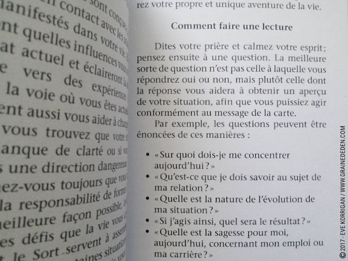 Cartes Oracle Sagesse des Royaumes Cachés de Colette Baron-Reid et Jena DellaGrottaglia - Graine d'Eden Développement personnel, spiritualité, tarots et oracles divinatoires, Bibliothèques des Oracles, avis, présentation, review , revue