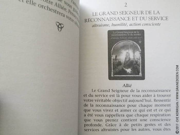 Cartes Oracle Sagesse des Royaumes Cachés de Colette Baron-Reid et Jena DellaGrottaglia - Graine d'Eden Développement personnel, spiritualité, tarots et oracles divinatoires, Bibliothèques des Oracles, avis, présentation, review , revue