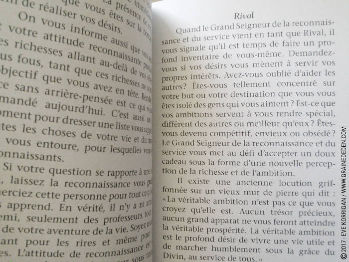 Cartes Oracle Sagesse des Royaumes Cachés de Colette Baron-Reid et Jena DellaGrottaglia - Graine d'Eden Développement personnel, spiritualité, tarots et oracles divinatoires, Bibliothèques des Oracles, avis, présentation, review , revue