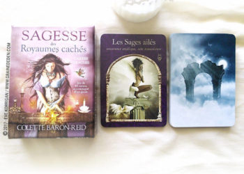 Cartes Oracle Sagesse des Royaumes Cachés de Colette Baron-Reid et Jena DellaGrottaglia - Graine d'Eden Développement personnel, spiritualité, tarots et oracles divinatoires, Bibliothèques des Oracles, avis, présentation, review , revue
