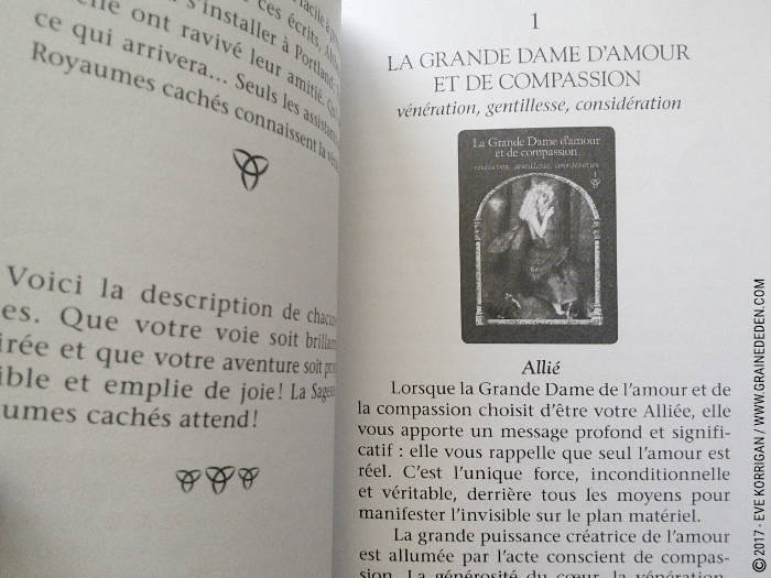 Cartes Oracle Sagesse des Royaumes Cachés de Colette Baron-Reid et Jena DellaGrottaglia - Graine d'Eden Développement personnel, spiritualité, tarots et oracles divinatoires, Bibliothèques des Oracles, avis, présentation, review , revue