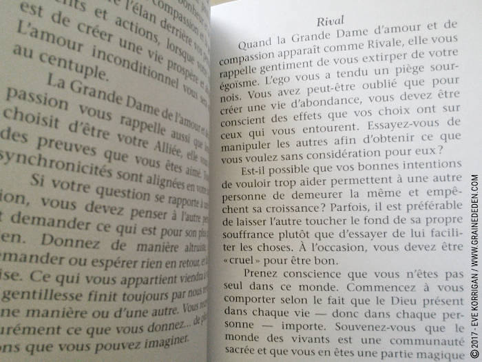 Cartes Oracle Sagesse des Royaumes Cachés de Colette Baron-Reid et Jena DellaGrottaglia - Graine d'Eden Développement personnel, spiritualité, tarots et oracles divinatoires, Bibliothèques des Oracles, avis, présentation, review , revue