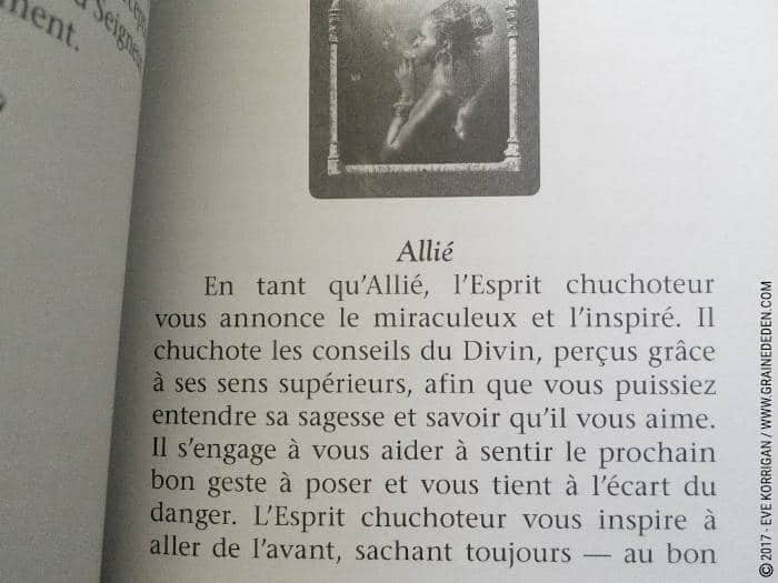 Cartes Oracle Sagesse des Royaumes Cachés de Colette Baron-Reid et Jena DellaGrottaglia - Graine d'Eden Développement personnel, spiritualité, tarots et oracles divinatoires, Bibliothèques des Oracles, avis, présentation, review , revue