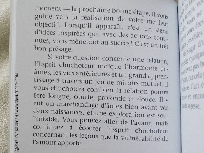 Cartes Oracle Sagesse des Royaumes Cachés de Colette Baron-Reid et Jena DellaGrottaglia - Graine d'Eden Développement personnel, spiritualité, tarots et oracles divinatoires, Bibliothèques des Oracles, avis, présentation, review , revue