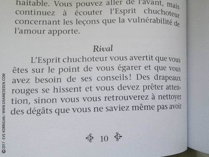 Cartes Oracle Sagesse des Royaumes Cachés de Colette Baron-Reid et Jena DellaGrottaglia - Graine d'Eden Développement personnel, spiritualité, tarots et oracles divinatoires, Bibliothèques des Oracles, avis, présentation, review , revue