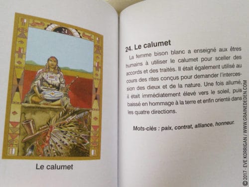 L'Oracle des Indiens d'Amérique de Laura Tuan - Découvrez cet Oracle dans la Bibliothèque des Oracles divinatoires. - Graine d'Eden Développement personnel, spiritualité, tarots et oracles divinatoires, Bibliothèques des Oracles, avis, présentation, review , revue