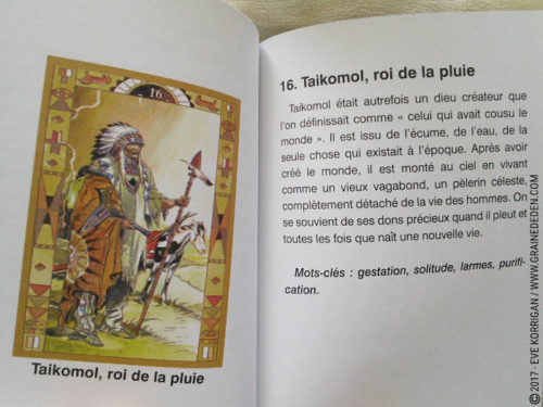 L'Oracle des Indiens d'Amérique de Laura Tuan - Découvrez cet Oracle dans la Bibliothèque des Oracles divinatoires. - Graine d'Eden Développement personnel, spiritualité, tarots et oracles divinatoires, Bibliothèques des Oracles, avis, présentation, review , revue