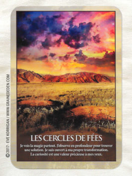 Le Pouvoir de la Terre Cartes oracle de Stacey Demarco et Jimmy Manton - Graine d'Eden Développement personnel, spiritualité, tarots et oracles divinatoires, Bibliothèques des Oracles, avis, présentation, review , revue