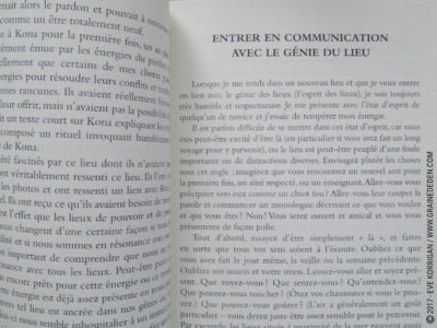 Le Pouvoir de la Terre Cartes oracle de Stacey Demarco et Jimmy Manton - Graine d'Eden Développement personnel, spiritualité, tarots et oracles divinatoires, Bibliothèques des Oracles, avis, présentation, review , revue