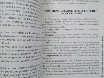 Le Pouvoir de la Terre Cartes oracle de Stacey Demarco et Jimmy Manton - Graine d'Eden Développement personnel, spiritualité, tarots et oracles divinatoires, Bibliothèques des Oracles, avis, présentation, review , revue