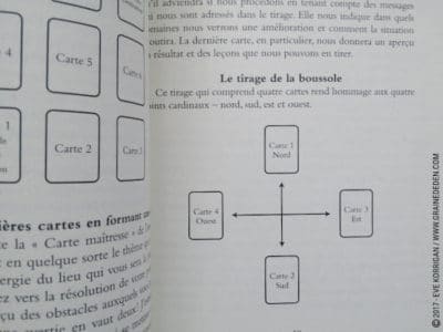 Le Pouvoir de la Terre Cartes oracle de Stacey Demarco et Jimmy Manton - Graine d'Eden Développement personnel, spiritualité, tarots et oracles divinatoires, Bibliothèques des Oracles, avis, présentation, review , revue