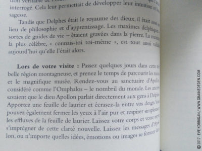 Le Pouvoir de la Terre Cartes oracle de Stacey Demarco et Jimmy Manton - Graine d'Eden Développement personnel, spiritualité, tarots et oracles divinatoires, Bibliothèques des Oracles, avis, présentation, review , revue