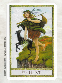 Le Tarot des Druides de Philip et Stephanie Carr-Gomm et Will Worthington - Graine d'Eden Développement personnel, spiritualité, tarots et oracles divinatoires, Bibliothèques des Oracles, avis, présentation, review , revue