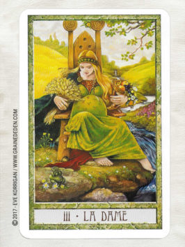 Le Tarot des Druides de Philip et Stephanie Carr-Gomm et Will Worthington - Graine d'Eden Développement personnel, spiritualité, tarots et oracles divinatoires, Bibliothèques des Oracles, avis, présentation, review , revue