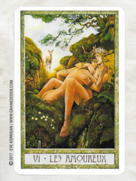 Le Tarot des Druides de Philip et Stephanie Carr-Gomm et Will Worthington - Graine d'Eden Développement personnel, spiritualité, tarots et oracles divinatoires, Bibliothèques des Oracles, avis, présentation, review , revue