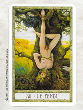 Le Tarot des Druides de Philip et Stephanie Carr-Gomm et Will Worthington - Graine d'Eden Développement personnel, spiritualité, tarots et oracles divinatoires, Bibliothèques des Oracles, avis, présentation, review , revue