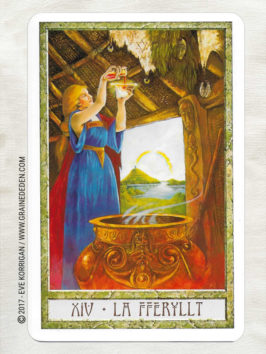 Le Tarot des Druides de Philip et Stephanie Carr-Gomm et Will Worthington - Graine d'Eden Développement personnel, spiritualité, tarots et oracles divinatoires, Bibliothèques des Oracles, avis, présentation, review , revue