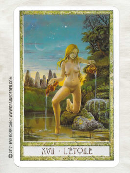 Le Tarot des Druides de Philip et Stephanie Carr-Gomm et Will Worthington - Graine d'Eden Développement personnel, spiritualité, tarots et oracles divinatoires, Bibliothèques des Oracles, avis, présentation, review , revue