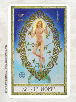 Le Tarot des Druides de Philip et Stephanie Carr-Gomm et Will Worthington - Graine d'Eden Développement personnel, spiritualité, tarots et oracles divinatoires, Bibliothèques des Oracles, avis, présentation, review , revue