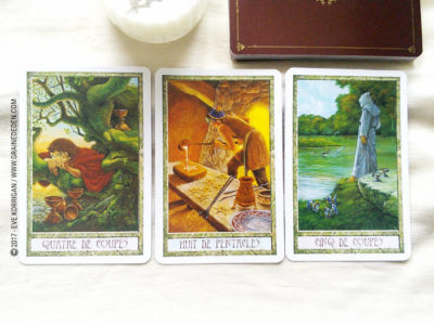 Le Tarot des Druides de Philip et Stephanie Carr-Gomm et Will Worthington - Graine d'Eden Développement personnel, spiritualité, tarots et oracles divinatoires, Bibliothèques des Oracles, avis, présentation, review , revue