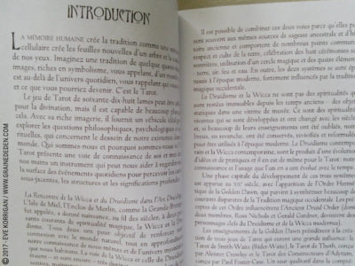 Le Tarot des Druides de Philip et Stephanie Carr-Gomm et Will Worthington - Graine d'Eden Développement personnel, spiritualité, tarots et oracles divinatoires, Bibliothèques des Oracles, avis, présentation, review , revue