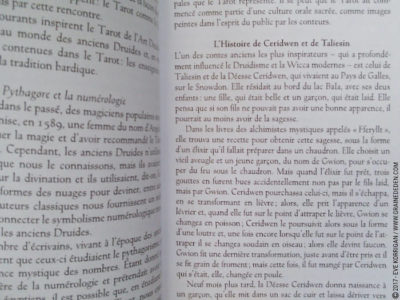 Le Tarot des Druides de Philip et Stephanie Carr-Gomm et Will Worthington - Graine d'Eden Développement personnel, spiritualité, tarots et oracles divinatoires, Bibliothèques des Oracles, avis, présentation, review , revue