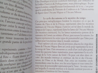 Le Tarot des Druides de Philip et Stephanie Carr-Gomm et Will Worthington - Graine d'Eden Développement personnel, spiritualité, tarots et oracles divinatoires, Bibliothèques des Oracles, avis, présentation, review , revue