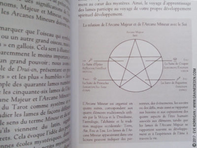 Le Tarot des Druides de Philip et Stephanie Carr-Gomm et Will Worthington - Graine d'Eden Développement personnel, spiritualité, tarots et oracles divinatoires, Bibliothèques des Oracles, avis, présentation, review , revue