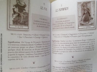 Le Tarot des Druides de Philip et Stephanie Carr-Gomm et Will Worthington - Graine d'Eden Développement personnel, spiritualité, tarots et oracles divinatoires, Bibliothèques des Oracles, avis, présentation, review , revue