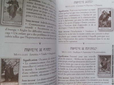 Le Tarot des Druides de Philip et Stephanie Carr-Gomm et Will Worthington - Graine d'Eden Développement personnel, spiritualité, tarots et oracles divinatoires, Bibliothèques des Oracles, avis, présentation, review , revue