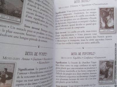 Le Tarot des Druides de Philip et Stephanie Carr-Gomm et Will Worthington - Graine d'Eden Développement personnel, spiritualité, tarots et oracles divinatoires, Bibliothèques des Oracles, avis, présentation, review , revue