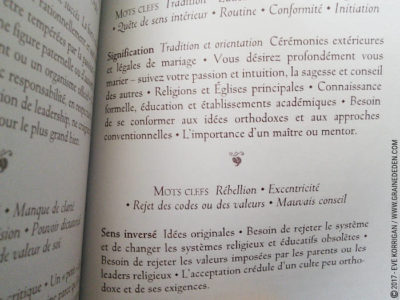 Le Tarot des Druides de Philip et Stephanie Carr-Gomm et Will Worthington - Graine d'Eden Développement personnel, spiritualité, tarots et oracles divinatoires, Bibliothèques des Oracles, avis, présentation, review , revue