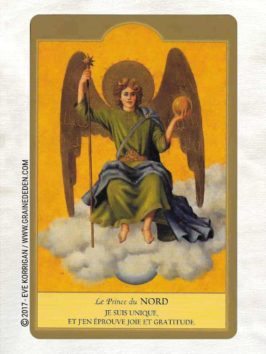 Les Anges Cartes Oracle de Ambika Wauters - Graine d'Eden Développement personnel, spiritualité, tarots et oracles divinatoires, Bibliothèques des Oracles, avis, présentation, review , revue