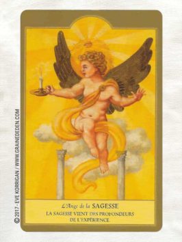 Les Anges Cartes Oracle de Ambika Wauters - Graine d'Eden Développement personnel, spiritualité, tarots et oracles divinatoires, Bibliothèques des Oracles, avis, présentation, review , revue