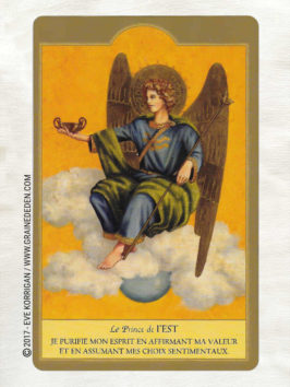 Les Anges Cartes Oracle de Ambika Wauters - Graine d'Eden Développement personnel, spiritualité, tarots et oracles divinatoires, Bibliothèques des Oracles, avis, présentation, review , revue